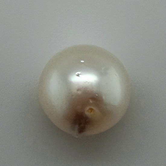 Pearl (Moti) 12.47 Ct Gem Quality Pearl (Moti) 12.47 Ct Gem Quality